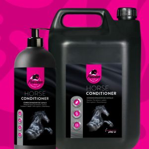 Conditioner