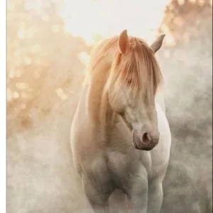 Personalized Sublimation Teacloth ONLY