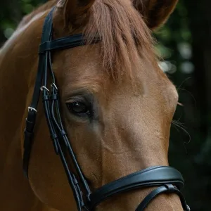 Indiana Stallion Bridle with Rubber Reins